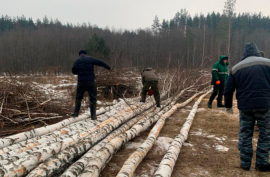 Жители с. Октябрьское отправили партию дров мобилизованным, находящимся в зоне СВО