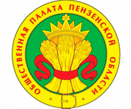 Общественная палата Пензенской области готовит Доклад о состоянии гражданского общества в Пензенской области