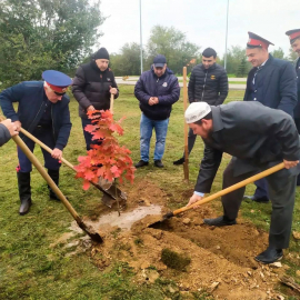 «АЛЛЕЯ ДРУЖБЫ»